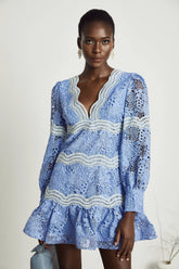 Gaëlle V-neck floral embroidered mini dress
