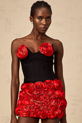 Héloïse red rose-appliqué top & skirt matching set
