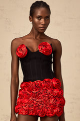 Héloïse red rose-appliqué top & skirt matching set
