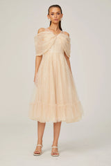 Danielle sequined tulle midi dress