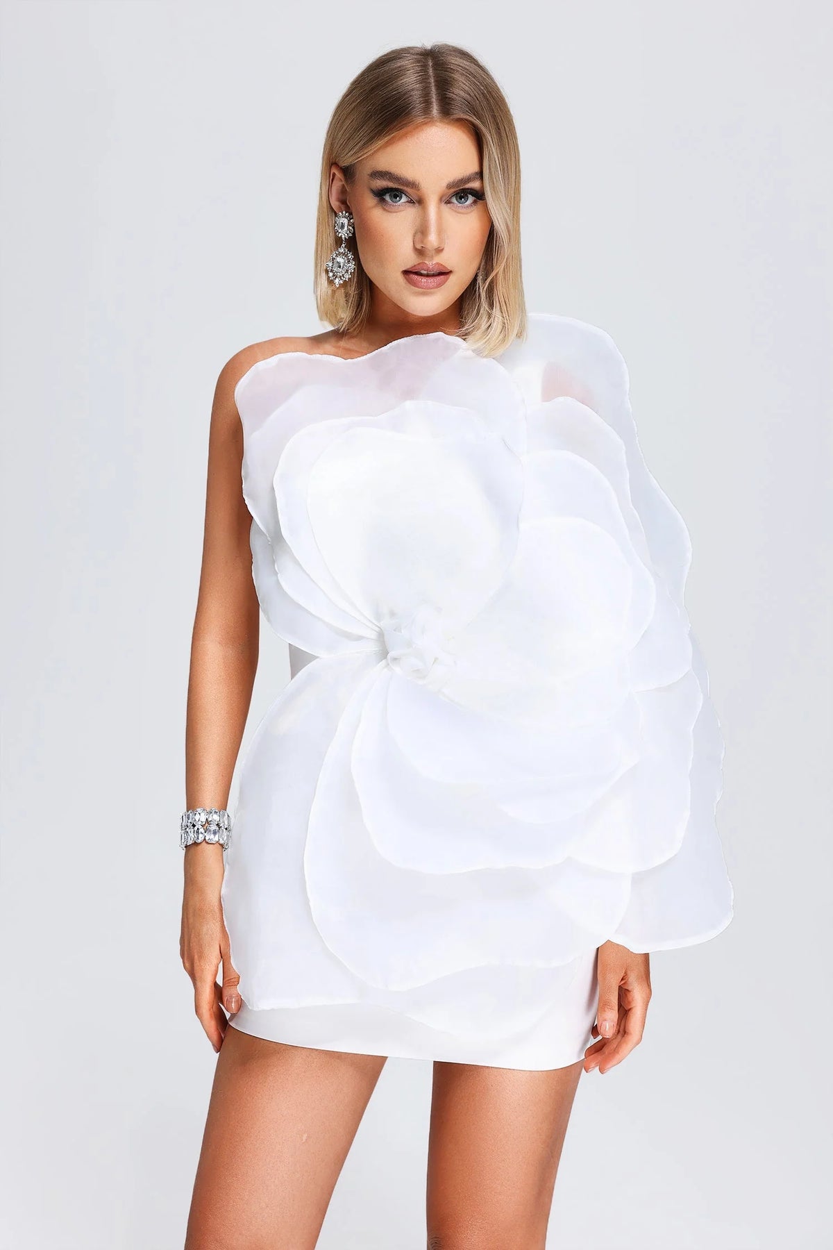 Kylie Mesh Floral Mini Tube Dress