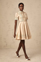 Axelle corded-lace flared mini dress