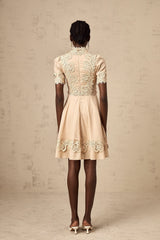Axelle corded-lace flared mini dress